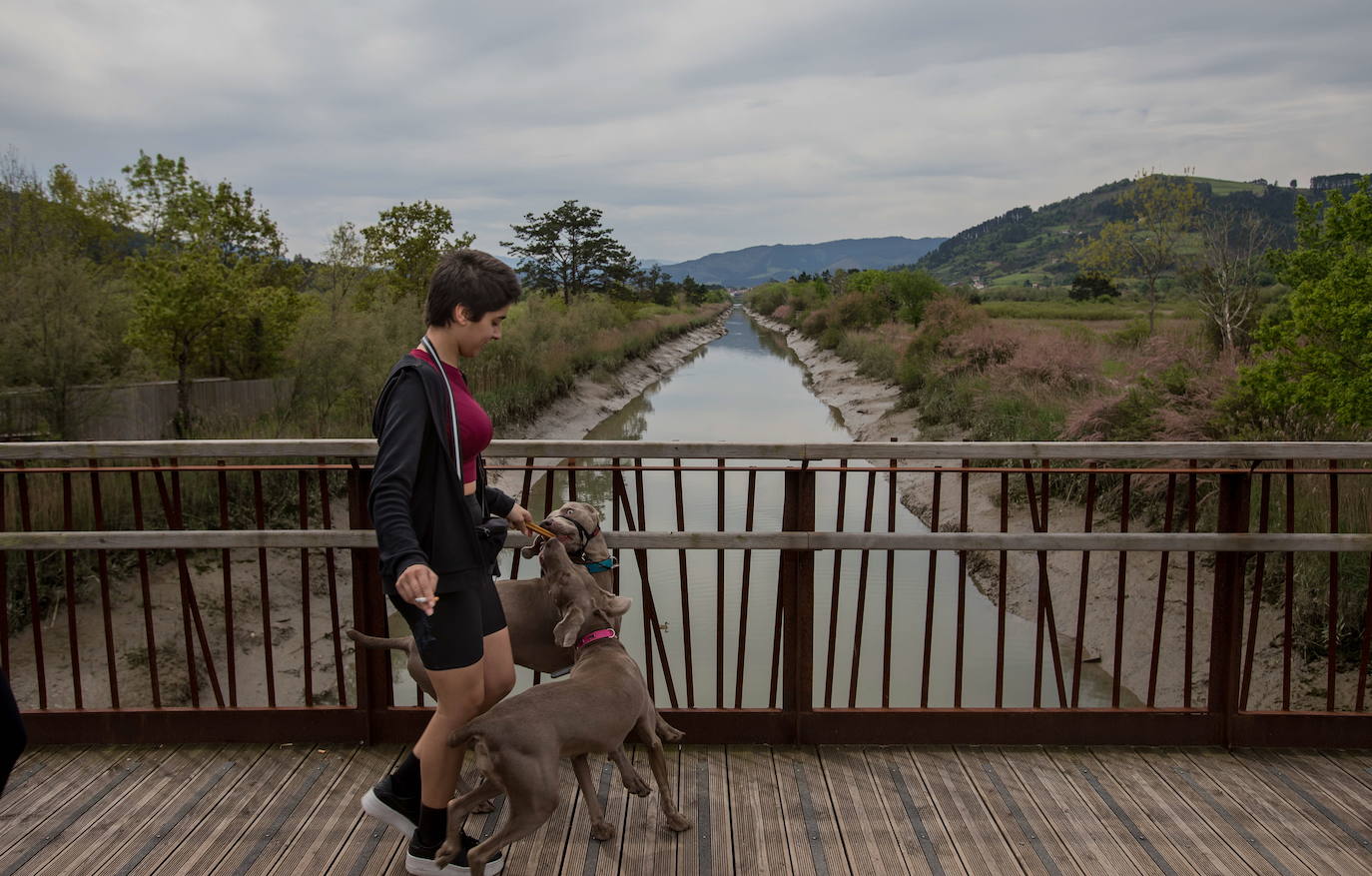Ruta por las marismas de Urdaibai (Bizkaia)