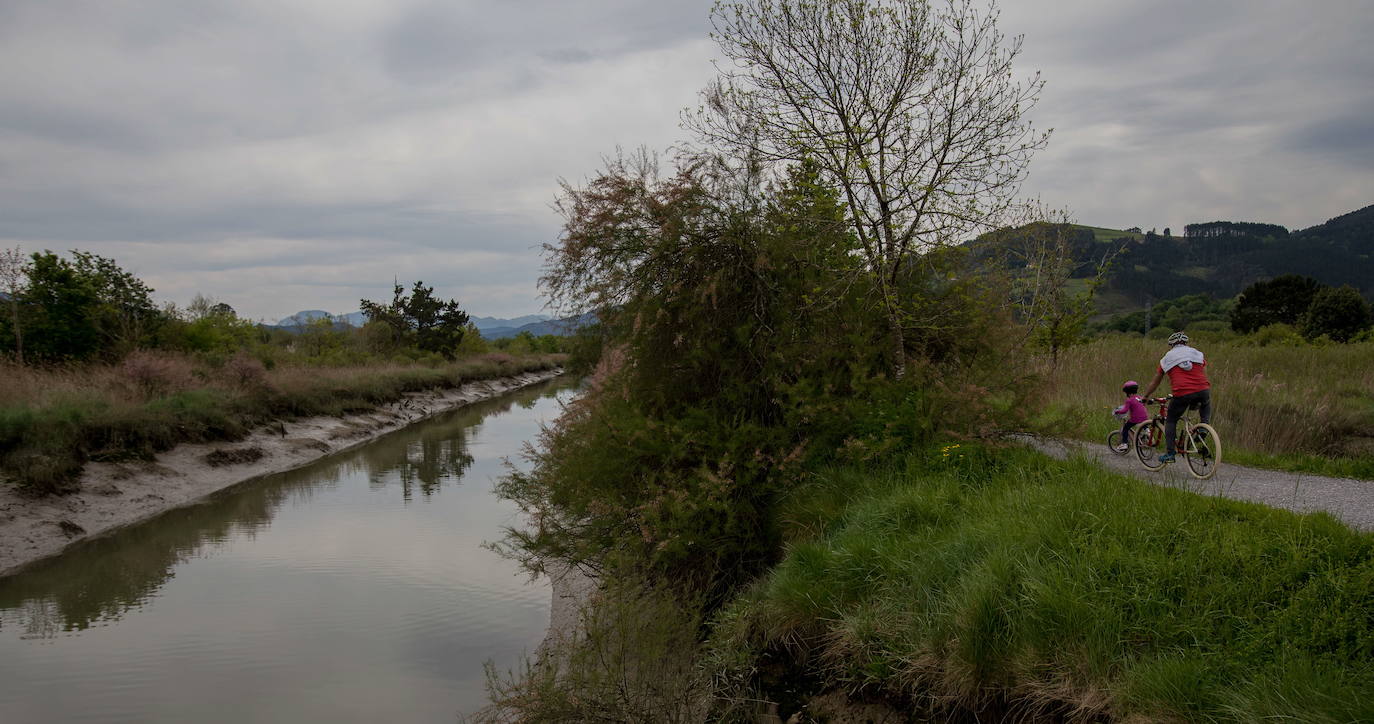 Ruta por las marismas de Urdaibai (Bizkaia)