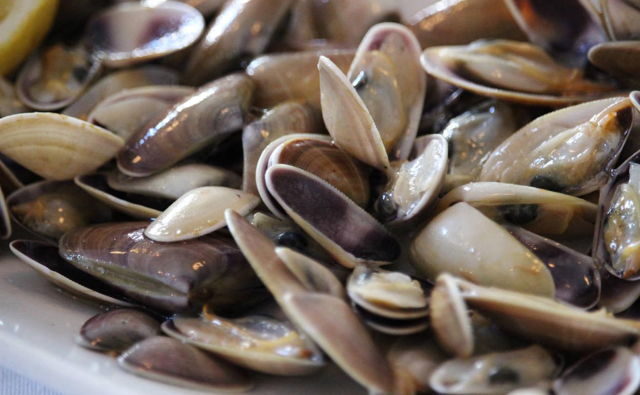 Finas y sabrosas coquinas