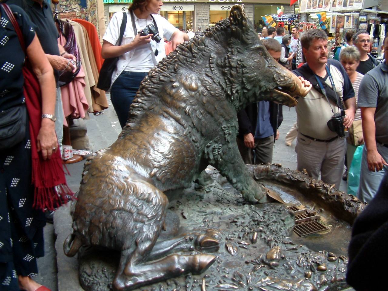 El hocico del jabalí presenta un aspecto desgastado, y es que la tradición manda que todo aquel viajero que desee regresar un día a Florencia o que simplemente quiera tener buena suerte en la vida debe frotar su mano contra él.