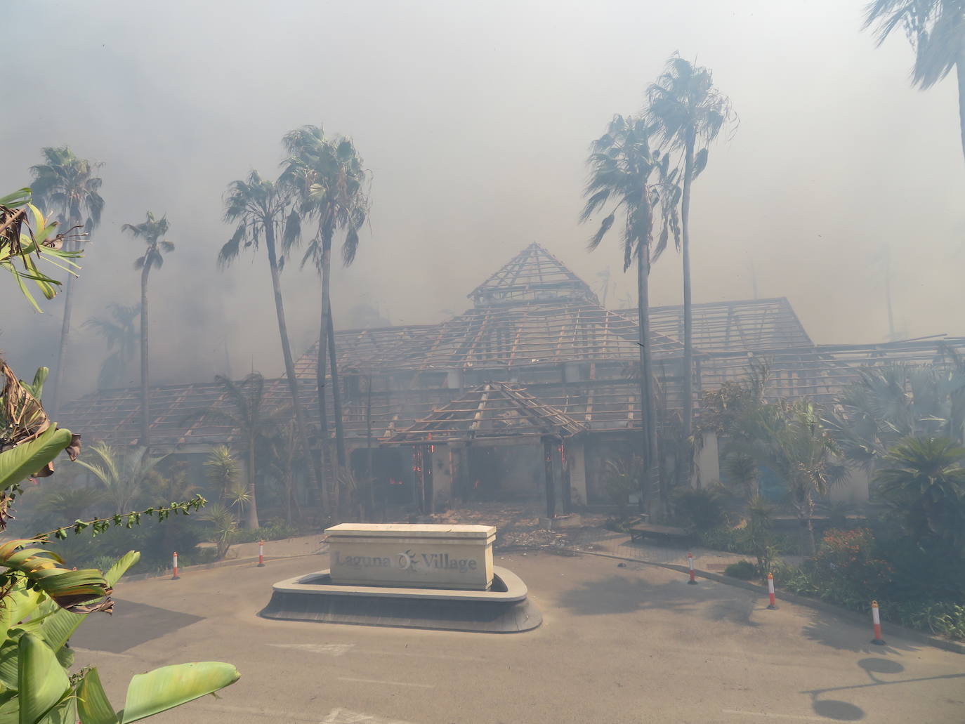 Fotos: Incendio forestal en Estepona