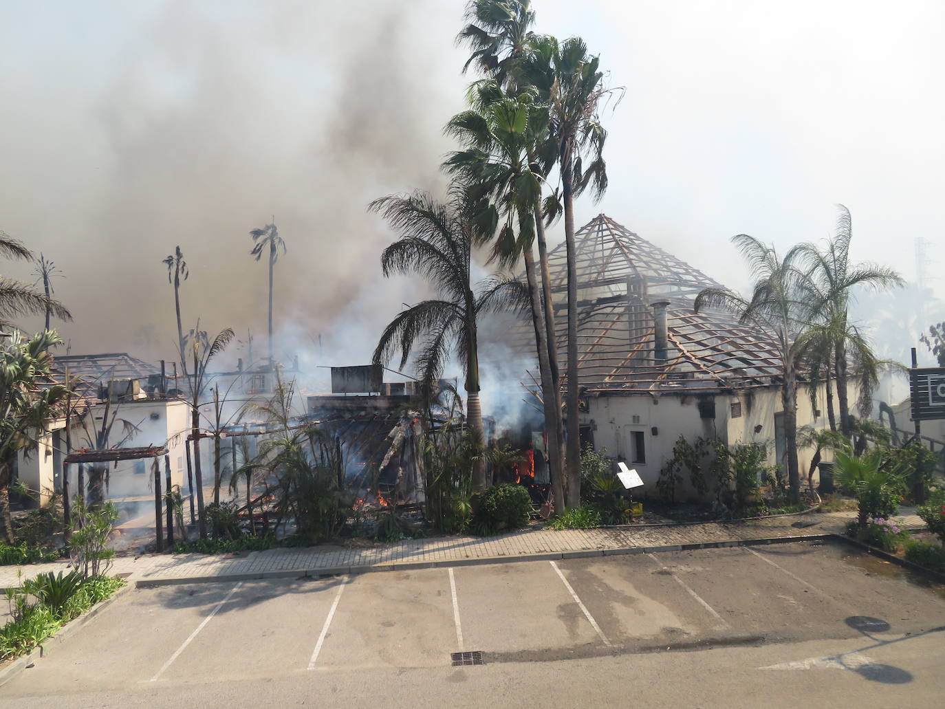 Fotos: Incendio forestal en Estepona