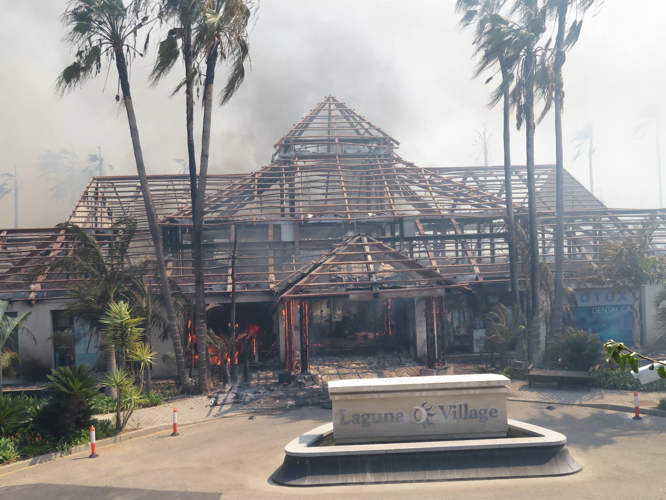 Fotos: Incendio forestal en Estepona