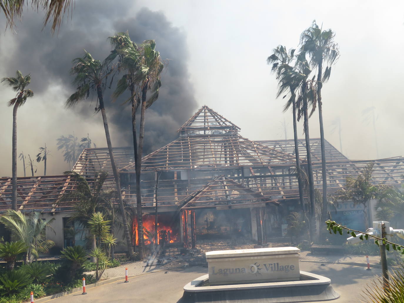 Fotos: Incendio forestal en Estepona