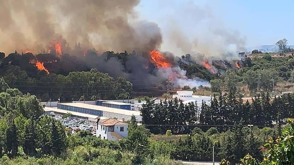Fotos: Incendio forestal en Estepona