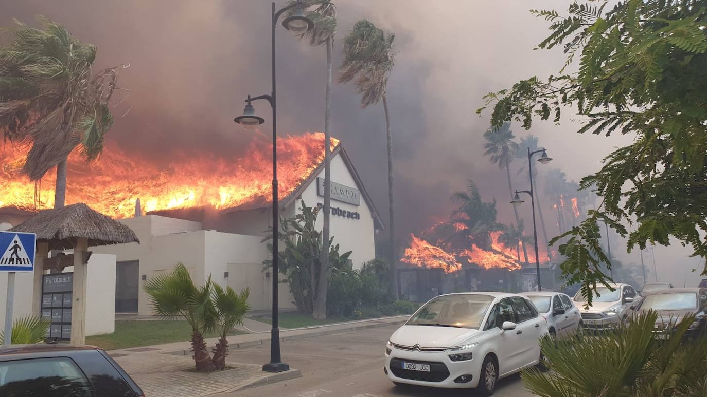 Fotos: Incendio forestal en Estepona