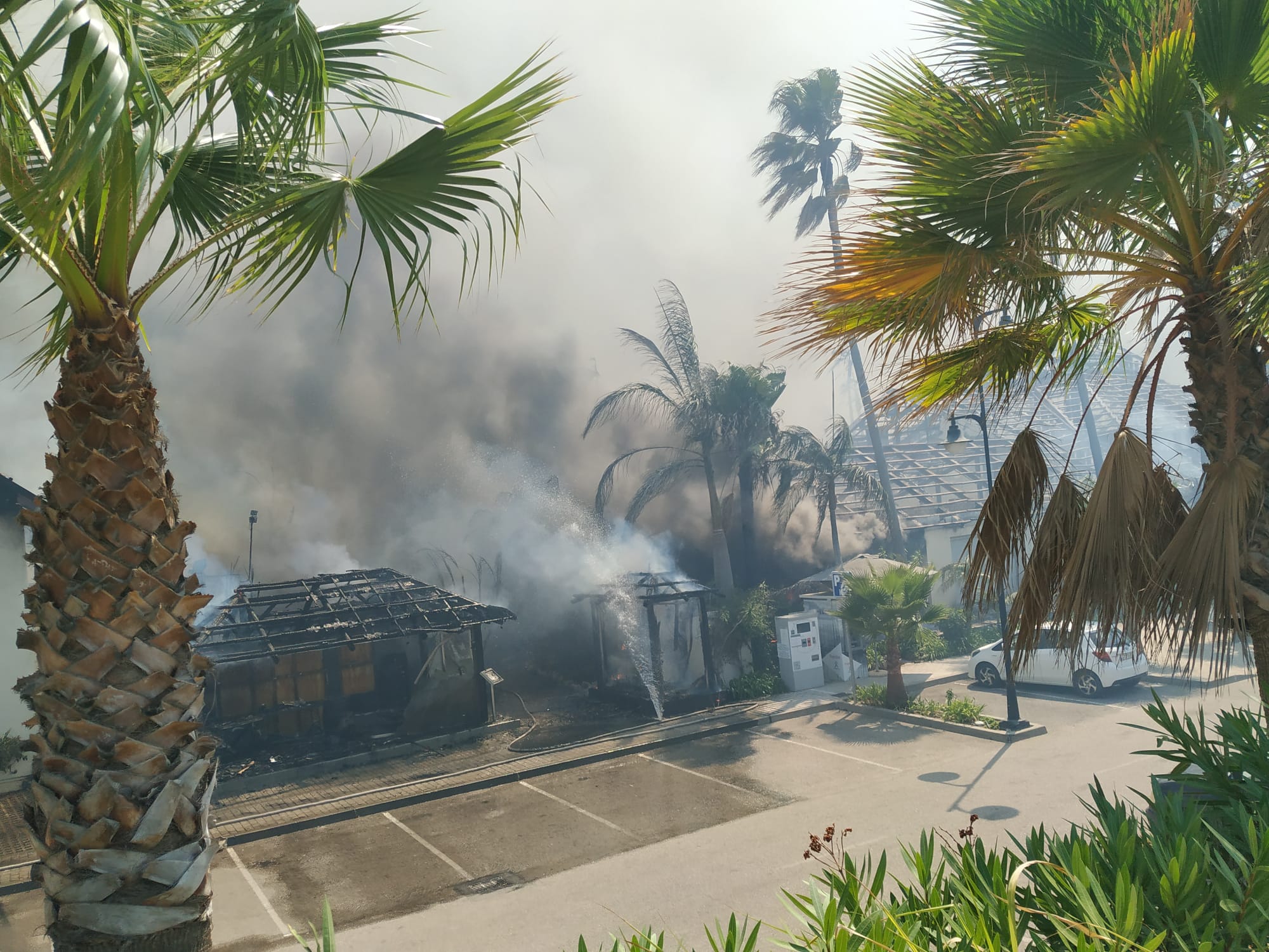 Fotos: Incendio forestal en Estepona