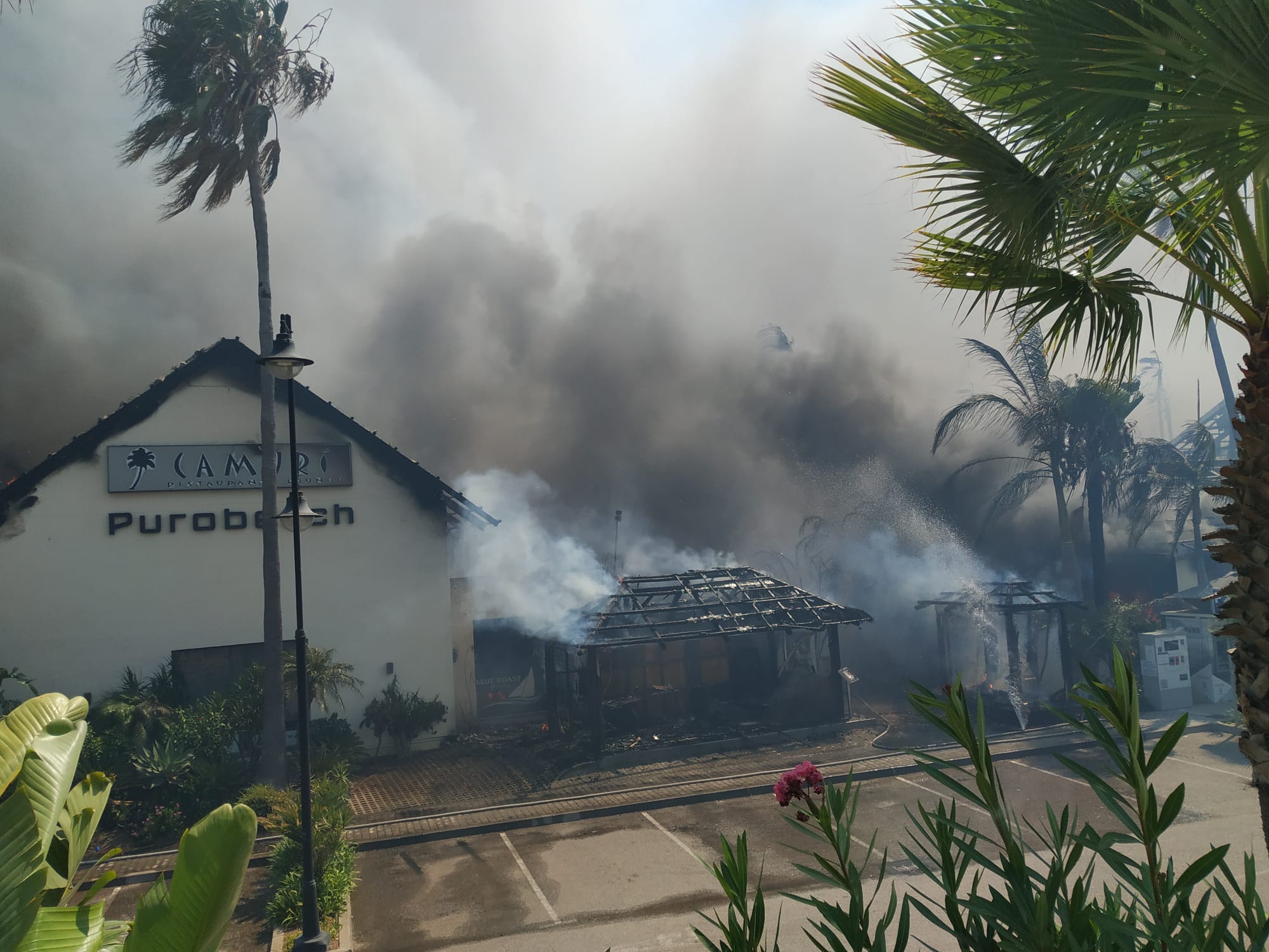 Fotos: Incendio forestal en Estepona