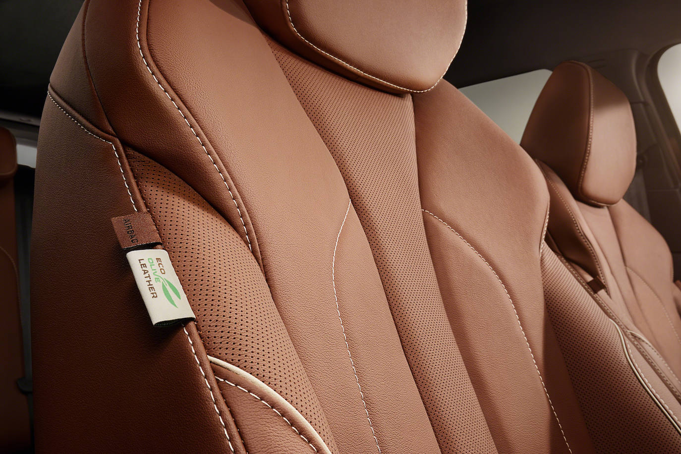 Fotos: Fotogalería: Nuevo Skoda ENYAQ iV