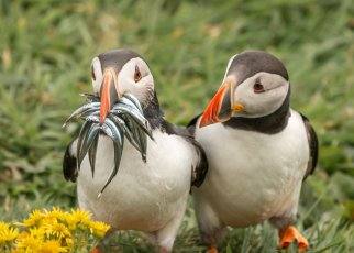 Fotos: Las fotos más simpáticas de animales, a concurso