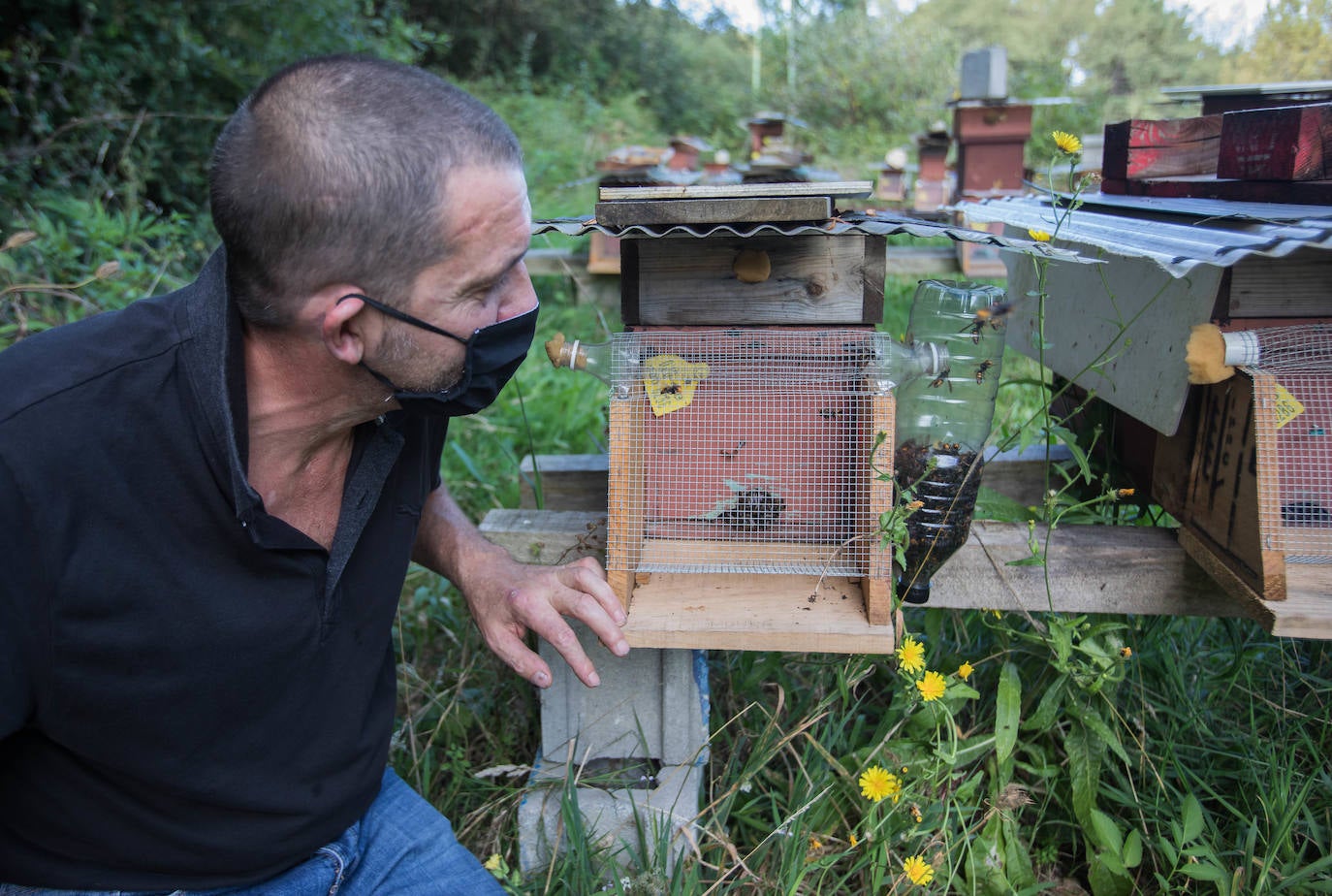 Fernando Arango ya ha cazado 19.000 ejemplares con su invento.