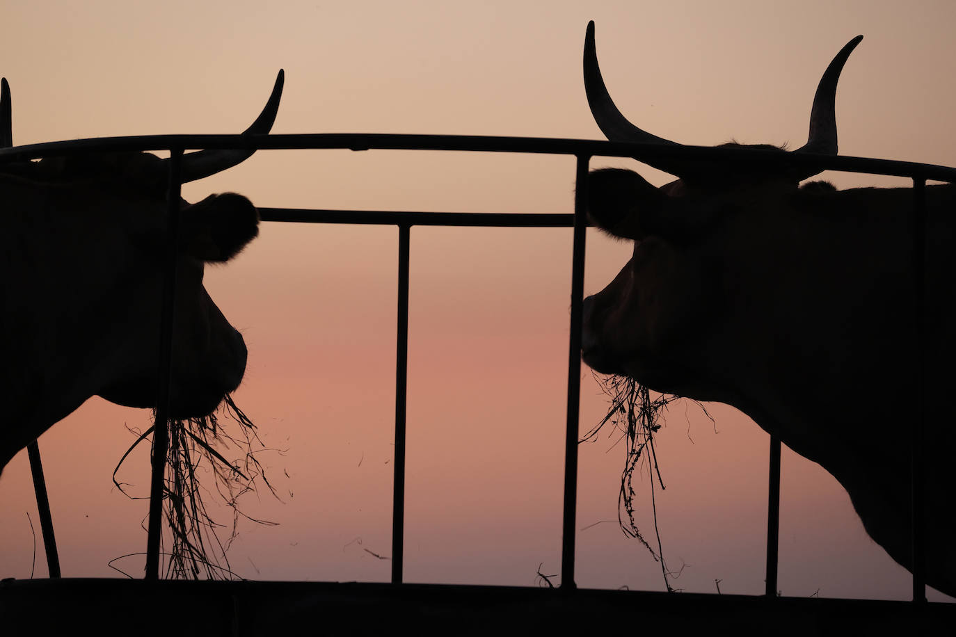 Fotos: Atardeceres del verano que se va, en la Cantabria occidental