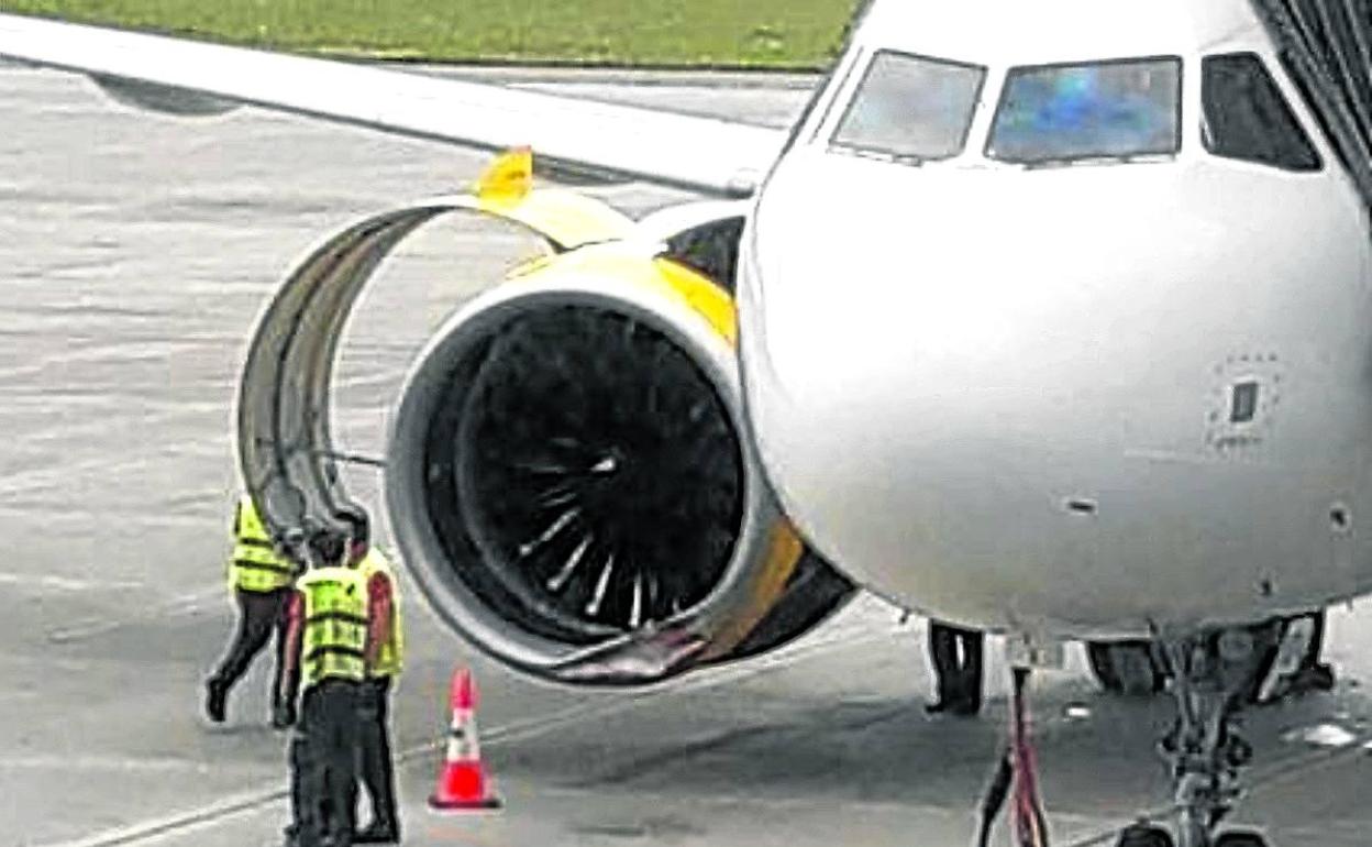 Varios mecánicos reparan la turbina abollada contra la que chocó un buitre el pasado 17 de agosto