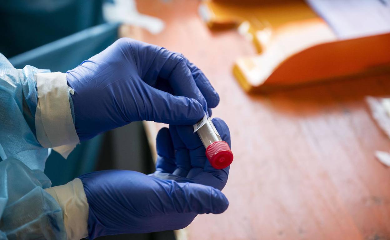 Bizkaia es la provincia vasca con menor incidencia del virus seguida de Álava