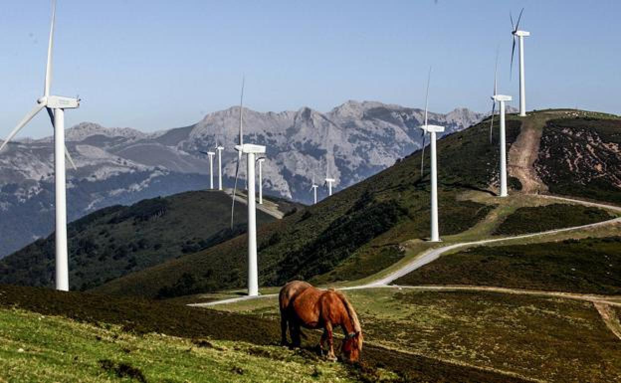 Parque eólico de Elguea, en la sierra de Urkilla. 