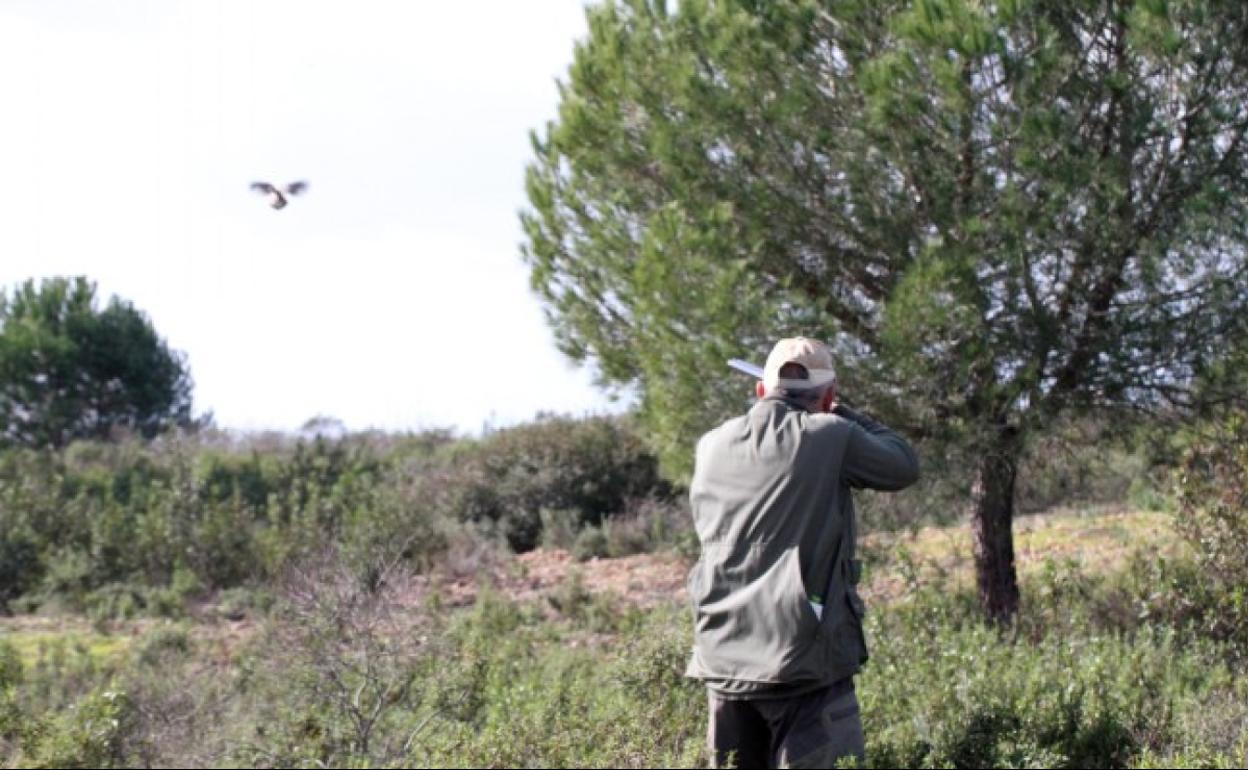No se prohibirá la caza