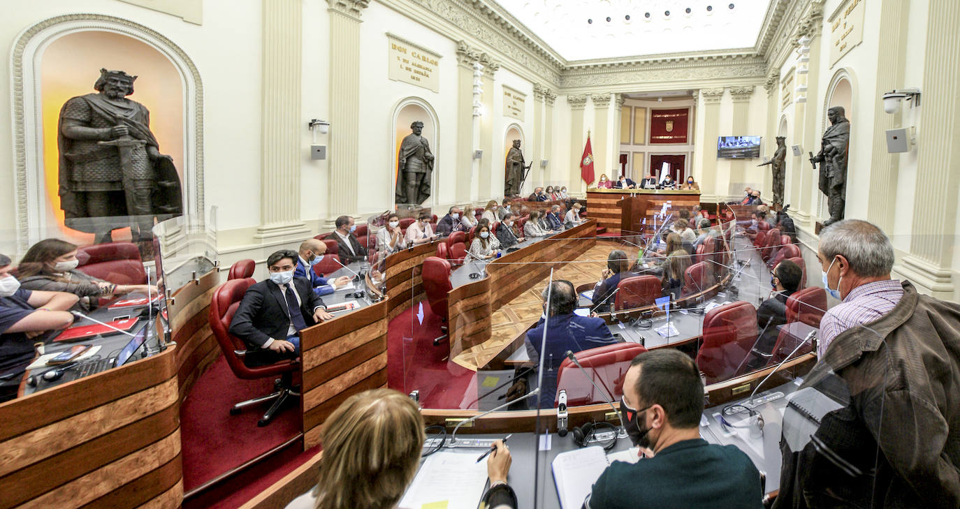 Fotos: Las Juntas Generales de Álava celebran el debate anual de política general