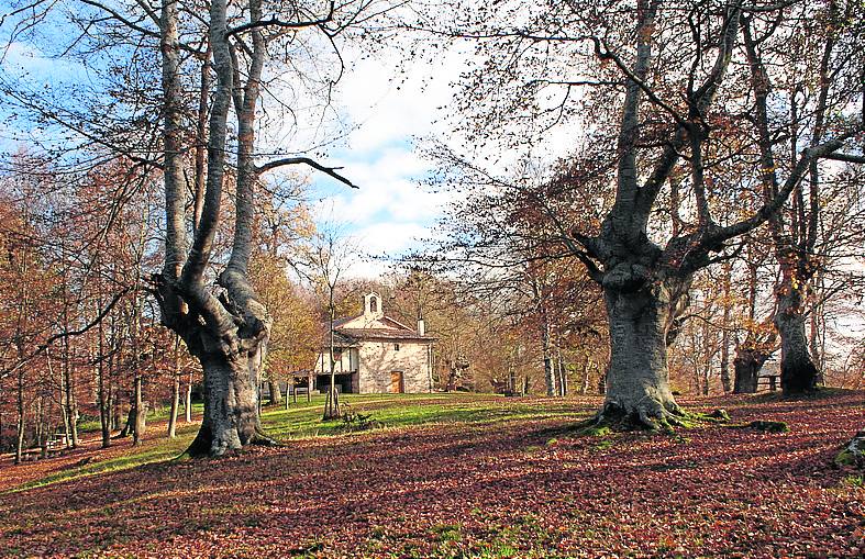 Rodeada por hayas y robles, la Ermita de Jugatxi es un apacible rincón de Zuia.