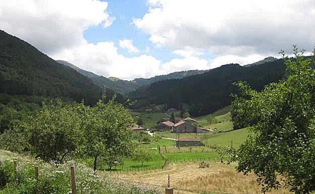 Caseríos, frutales y prados en el valle de Oma.