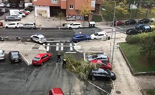 La borrasca Bárbara deja ya rachas de hasta 124 kilómetros en Álava