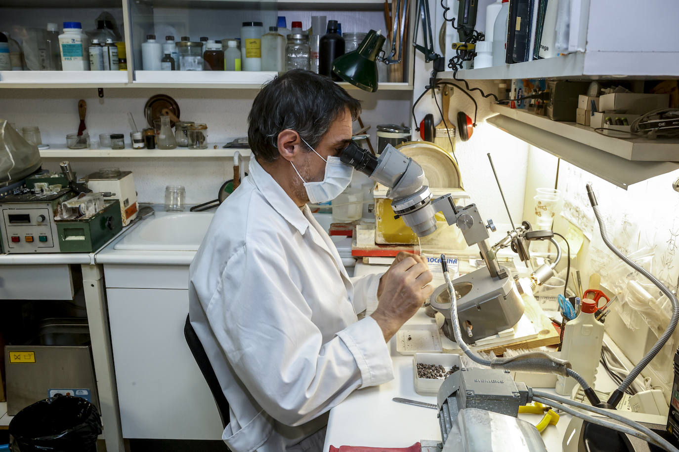 El conservador de ámbar del museo en el laboratorio de paleontología buscando inclusiones biológicas en las pequeñas pepitas de resina fósil.