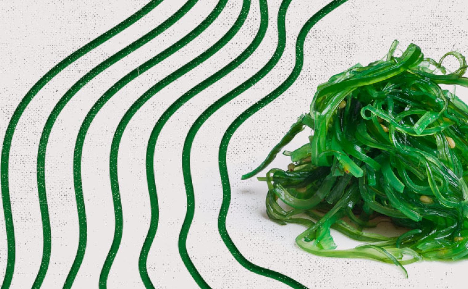 ¿A qué esperamos para comer más algas?