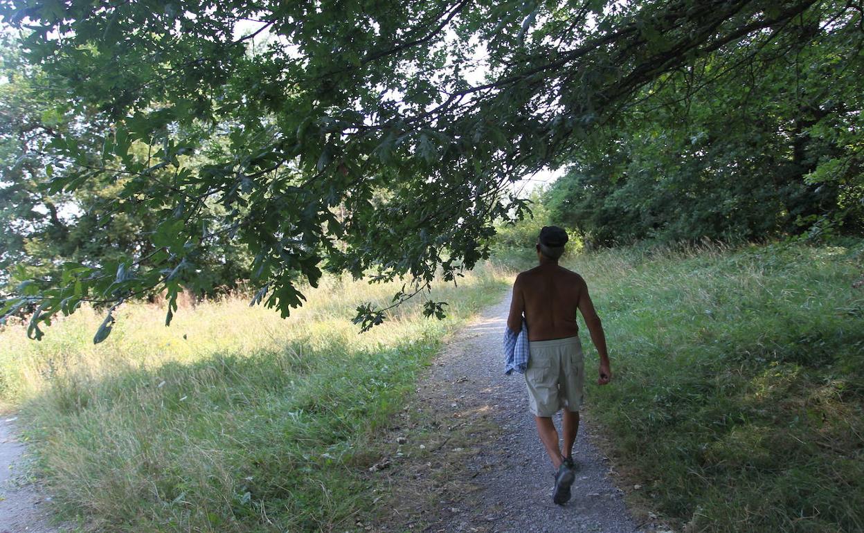 45 nuevas farolas led mejorarán el alumbrado del Jardín Botánico de Olárizu