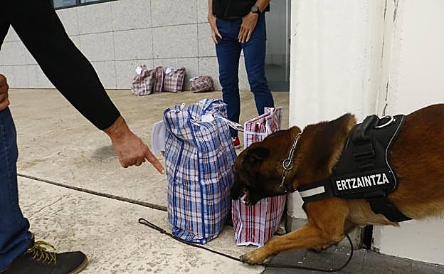 Un ertzaina marca a un perro policia que revise mercancía que debe entrar en la cárcel de Zaballa. 