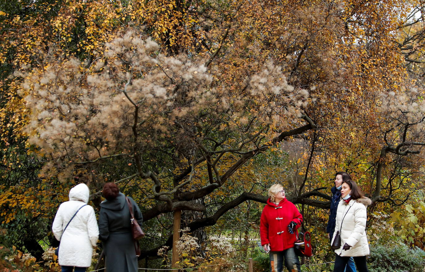 La gente camina en el jardín boticario en un día de otoño en Moscú, Rusia.