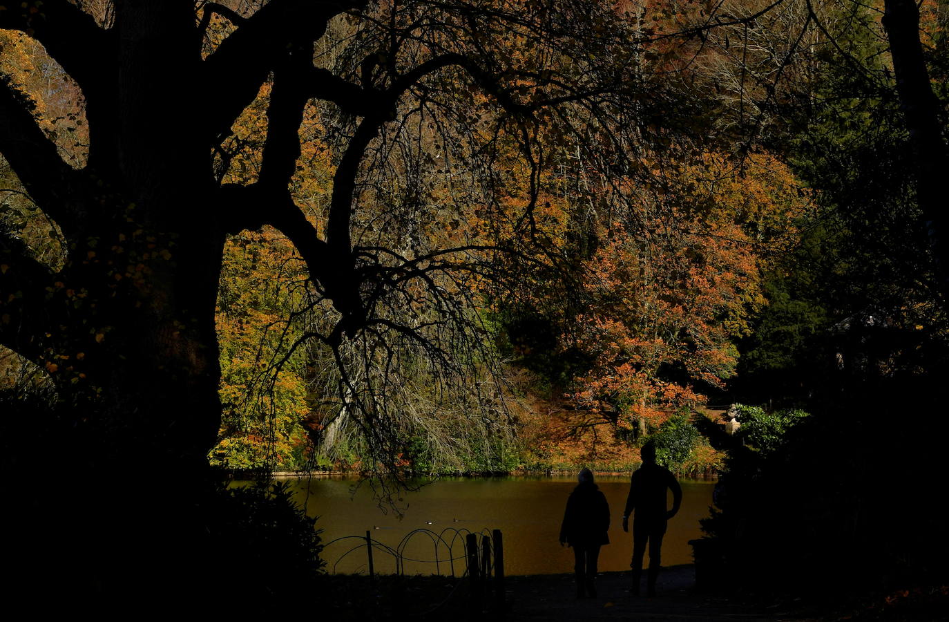 Los visitantes ven el follaje de otoño en los jardines de Stourhead, Wiltshire, Gran Bretaña.