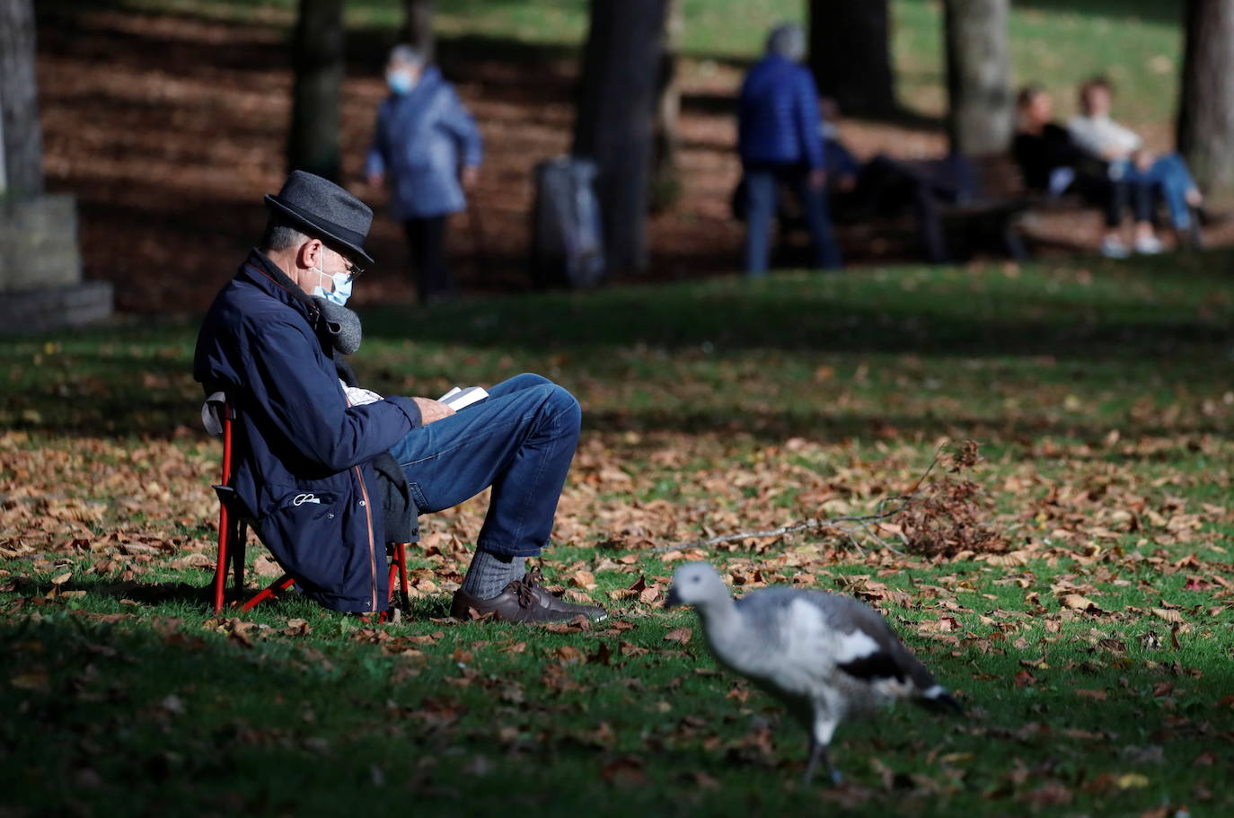 Un hombre, con una máscara protectora, lee un libro en un parque durante el segundo cierre nacional como parte de las medidas para combatir una segunda ola del coronavirus en Nantes, Francia. 