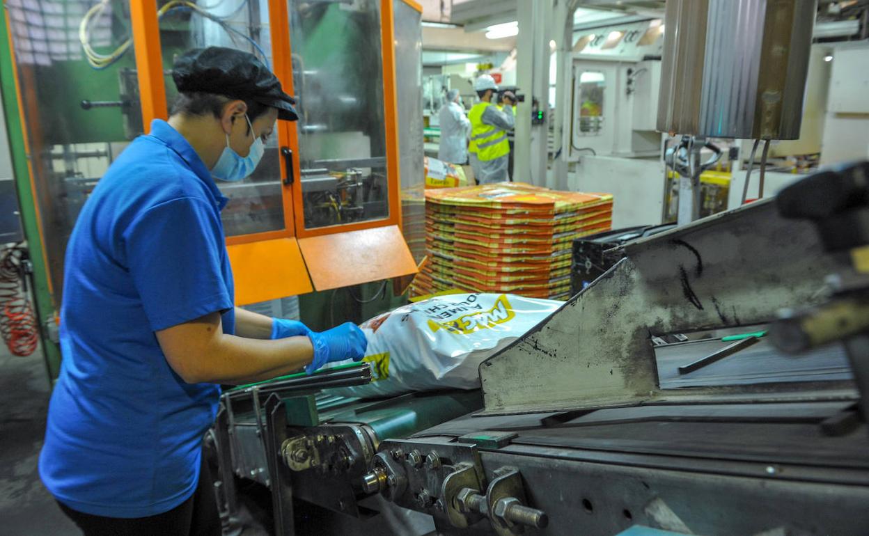 Planta de Elmubas Ibérica en Azpeitia.