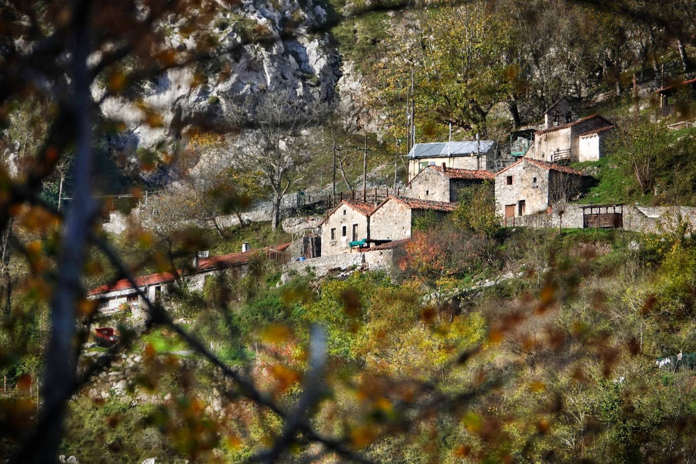 Fotos: El impresionante otoño en los Picos de Europa