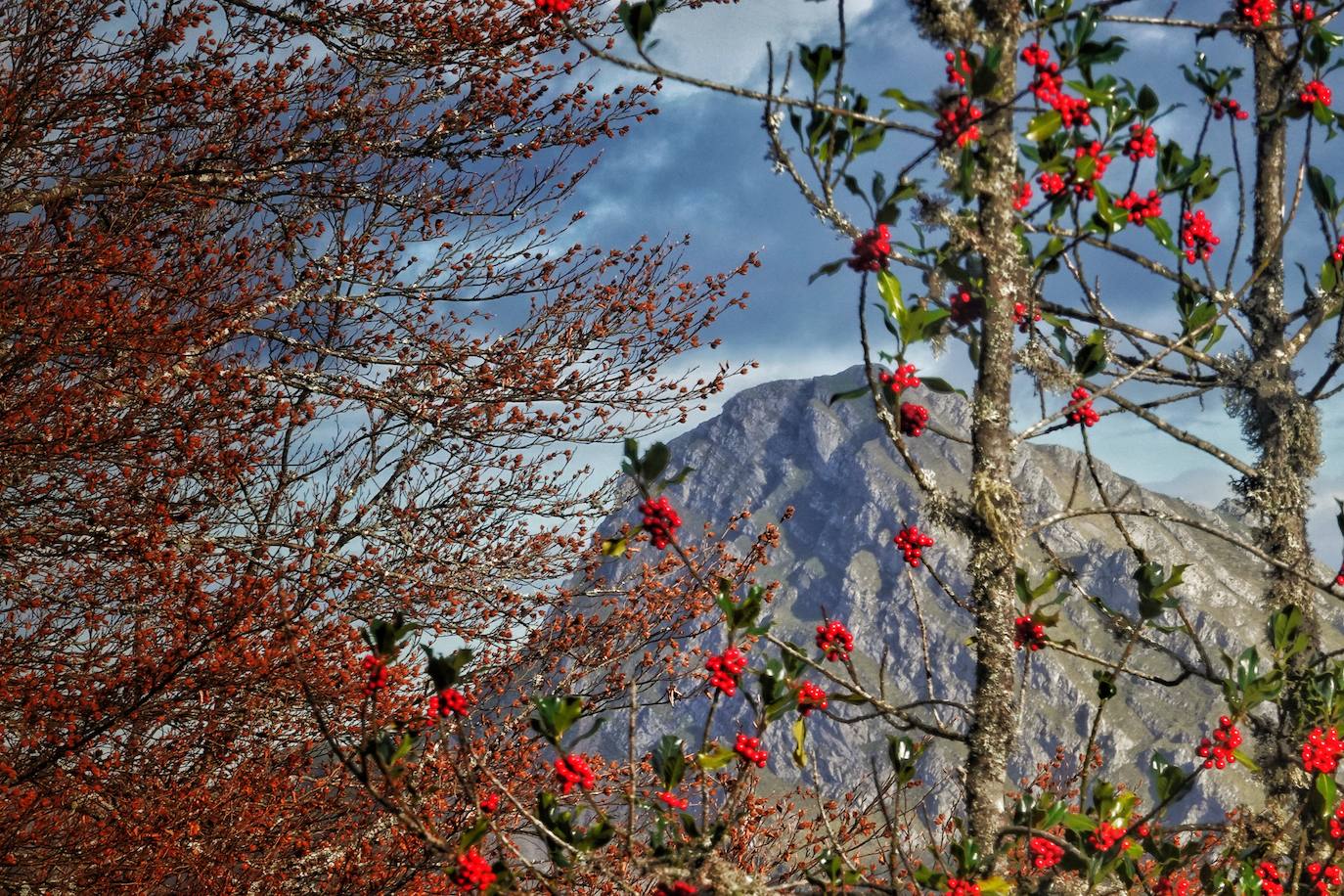 Fotos: El impresionante otoño en los Picos de Europa