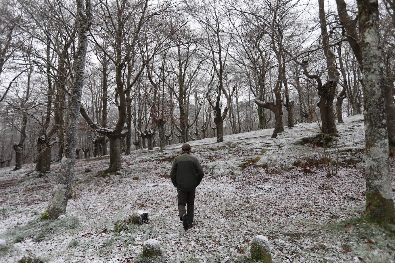Primera nevada del otoño, que había sido hasta este momento cálido y muy seco