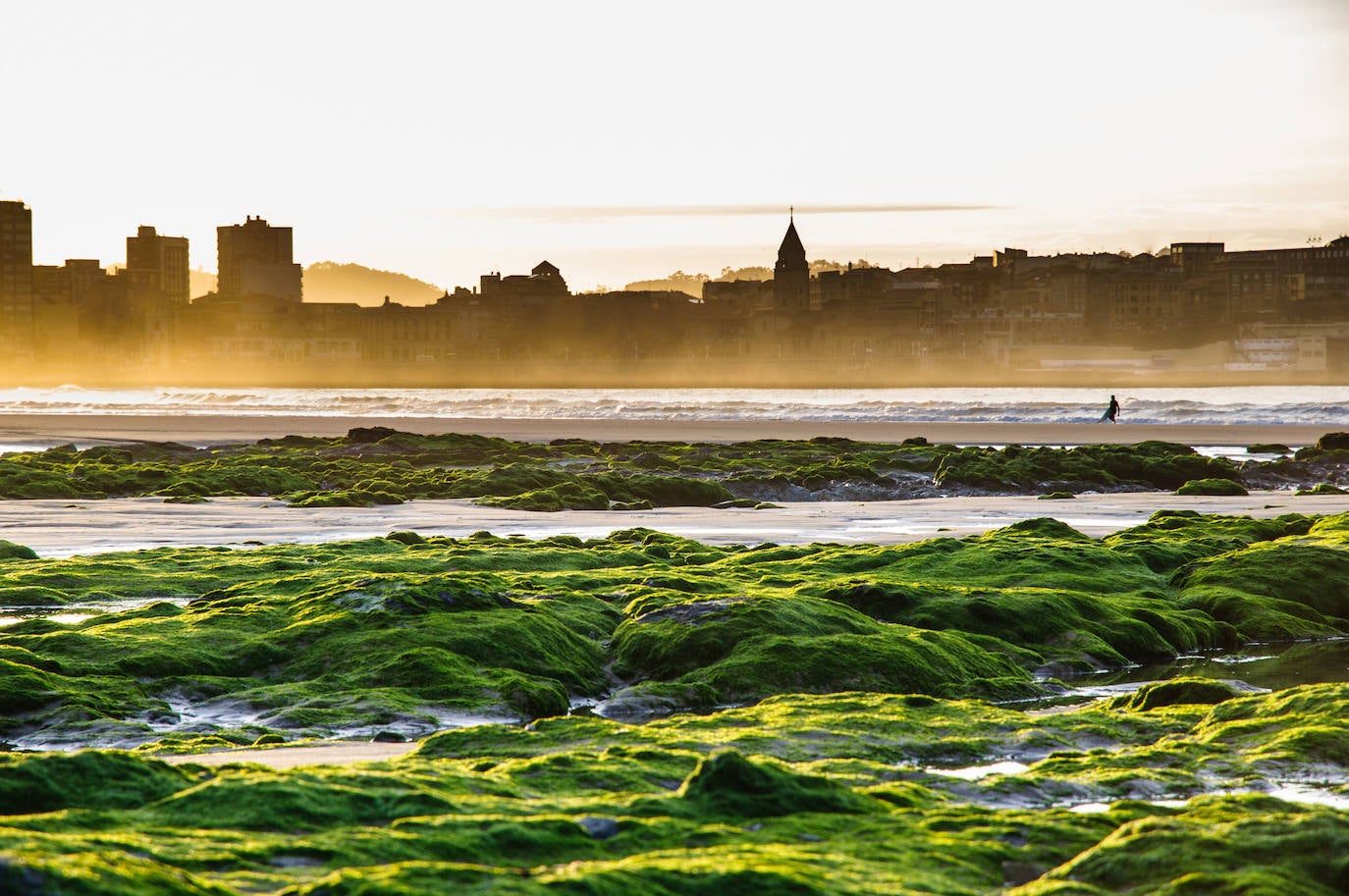 Gijón (Asturias)