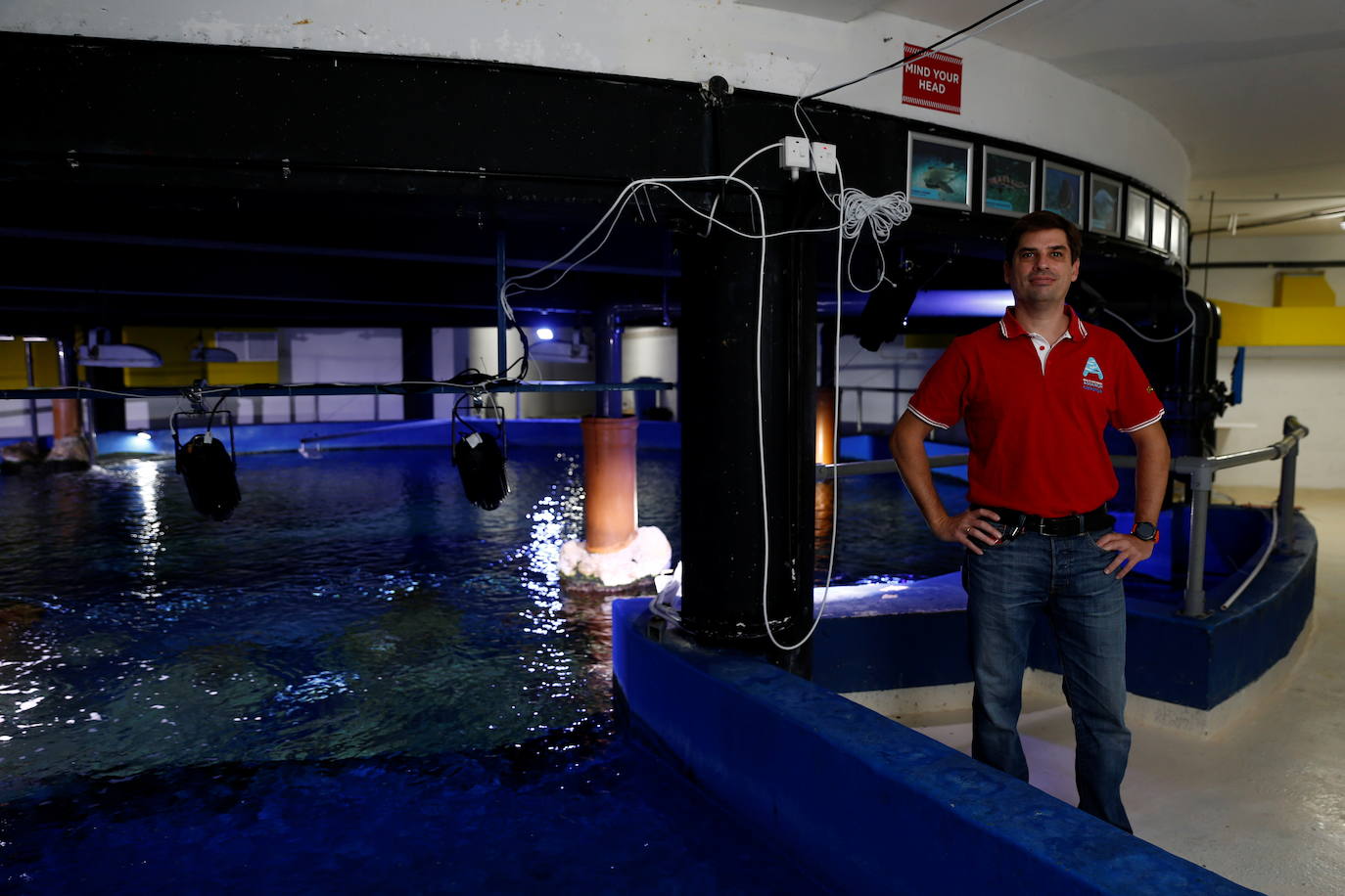 El curador y administrador del acuario Daniel de Castro, en el acuario Nacional de Malta.