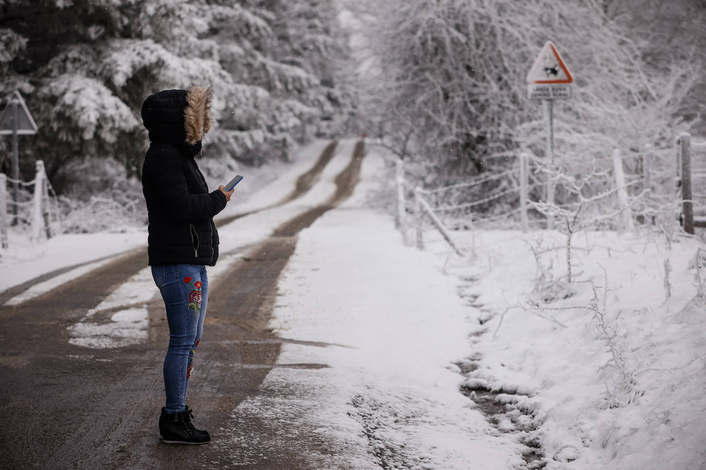 Fotos: Las imágenes que deja la nieve hoy en Álava