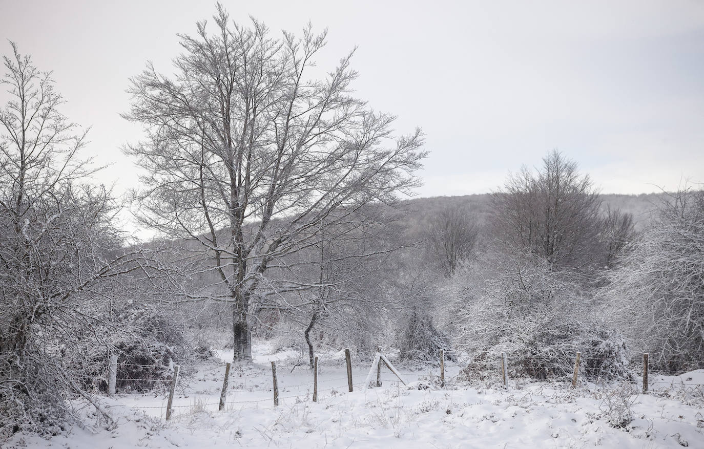 Fotos: Las imágenes que deja la nieve hoy en Álava