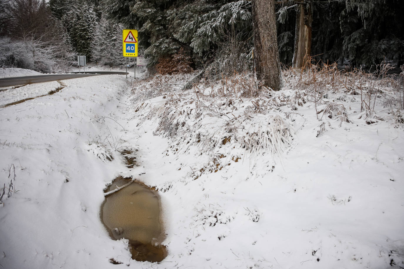 Fotos: Las imágenes que deja la nieve hoy en Álava