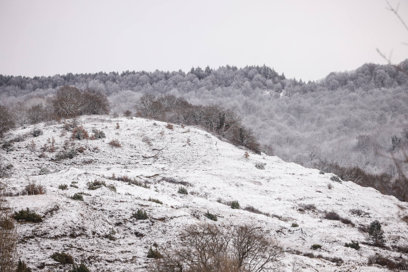 Fotos: Las imágenes que deja la nieve hoy en Álava