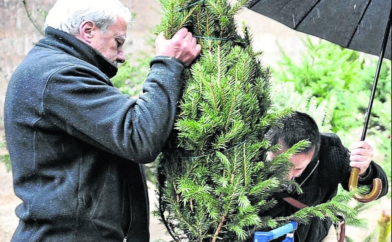 Se maneja la fecha de 1870 para la introducción del primer árbol de Navidad en Madrid