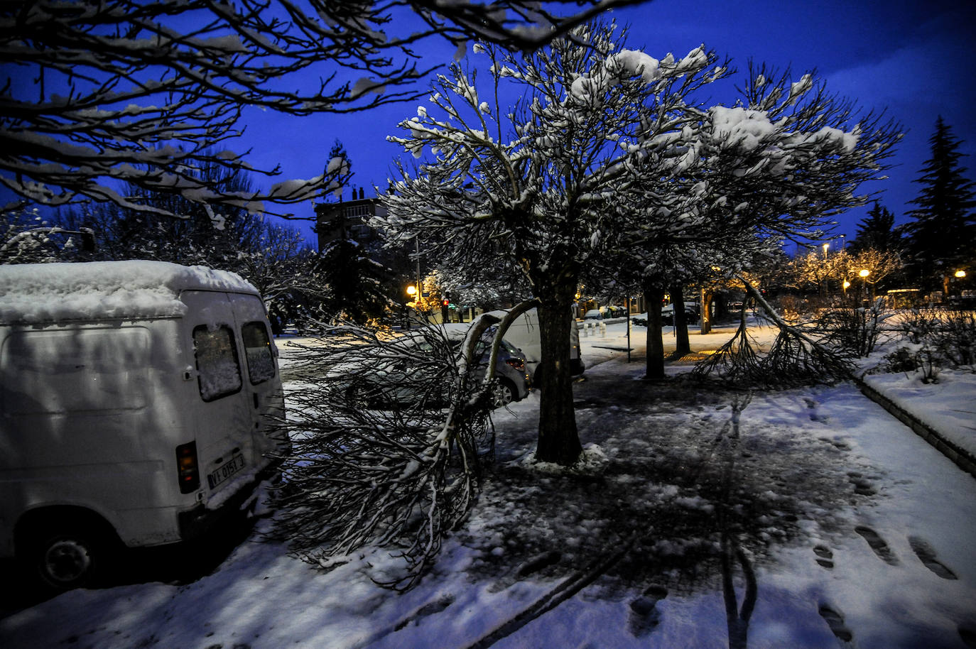 Fotos: Vitoria se divierte en la nieve