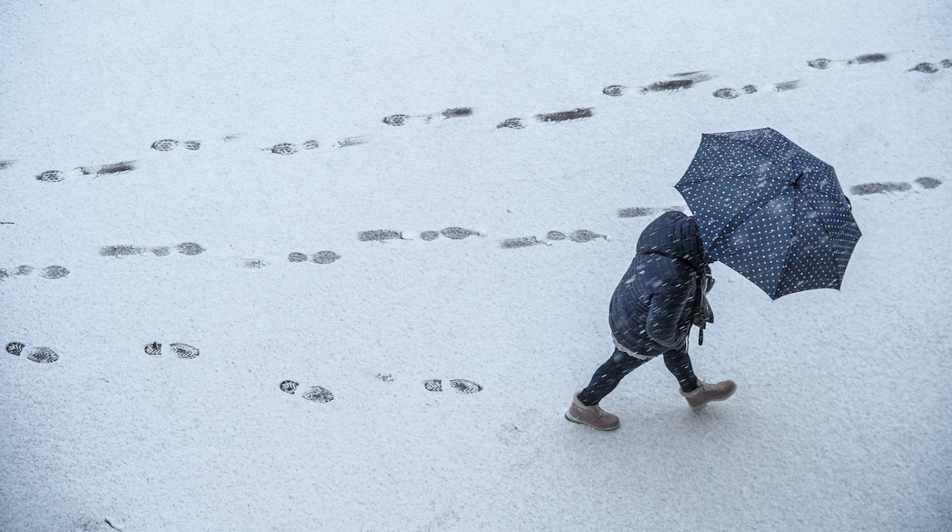 Fotos: La nieve vuelve a cubrir de blanco Álava