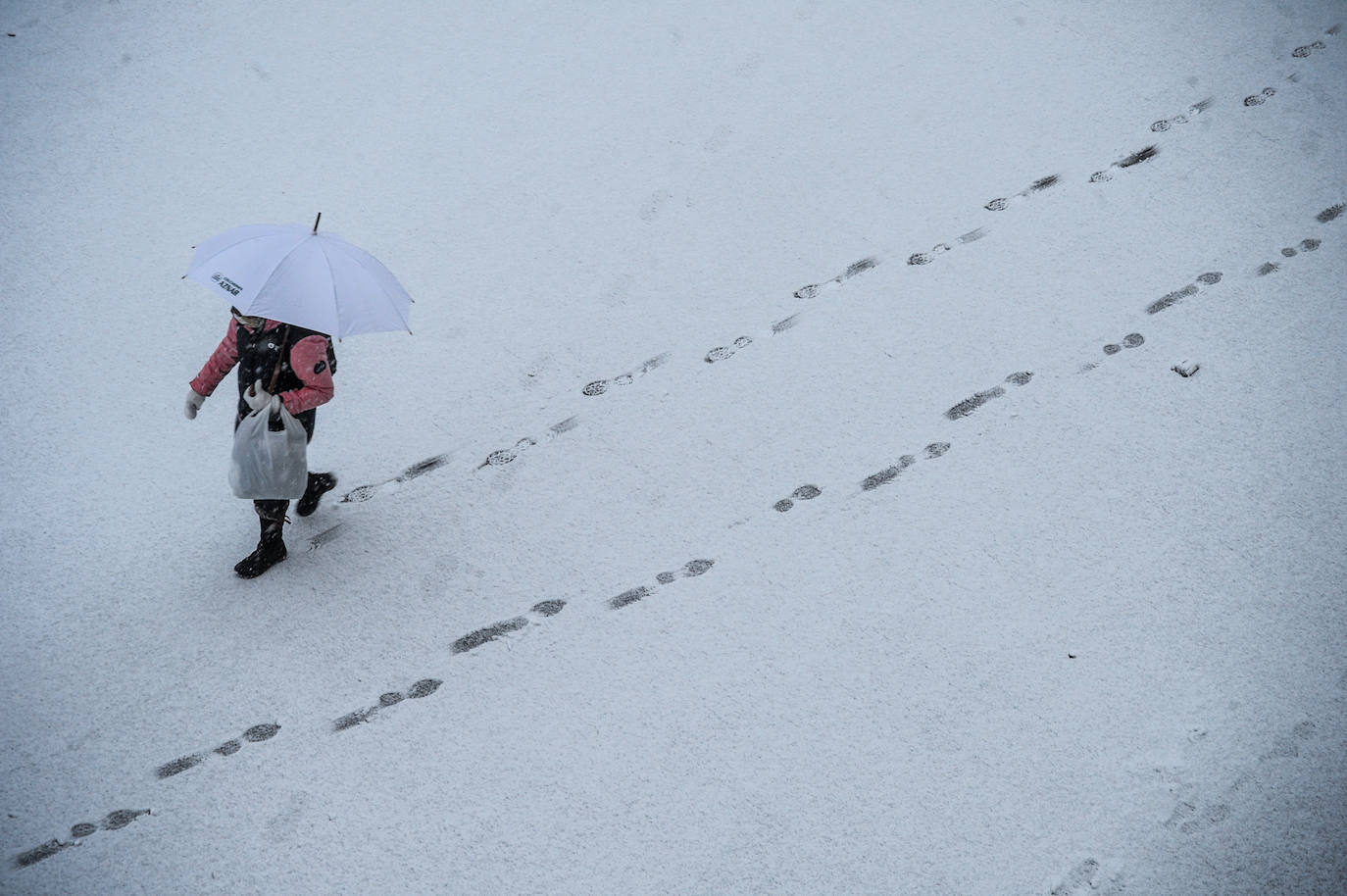 Fotos: La nieve vuelve a cubrir de blanco Álava