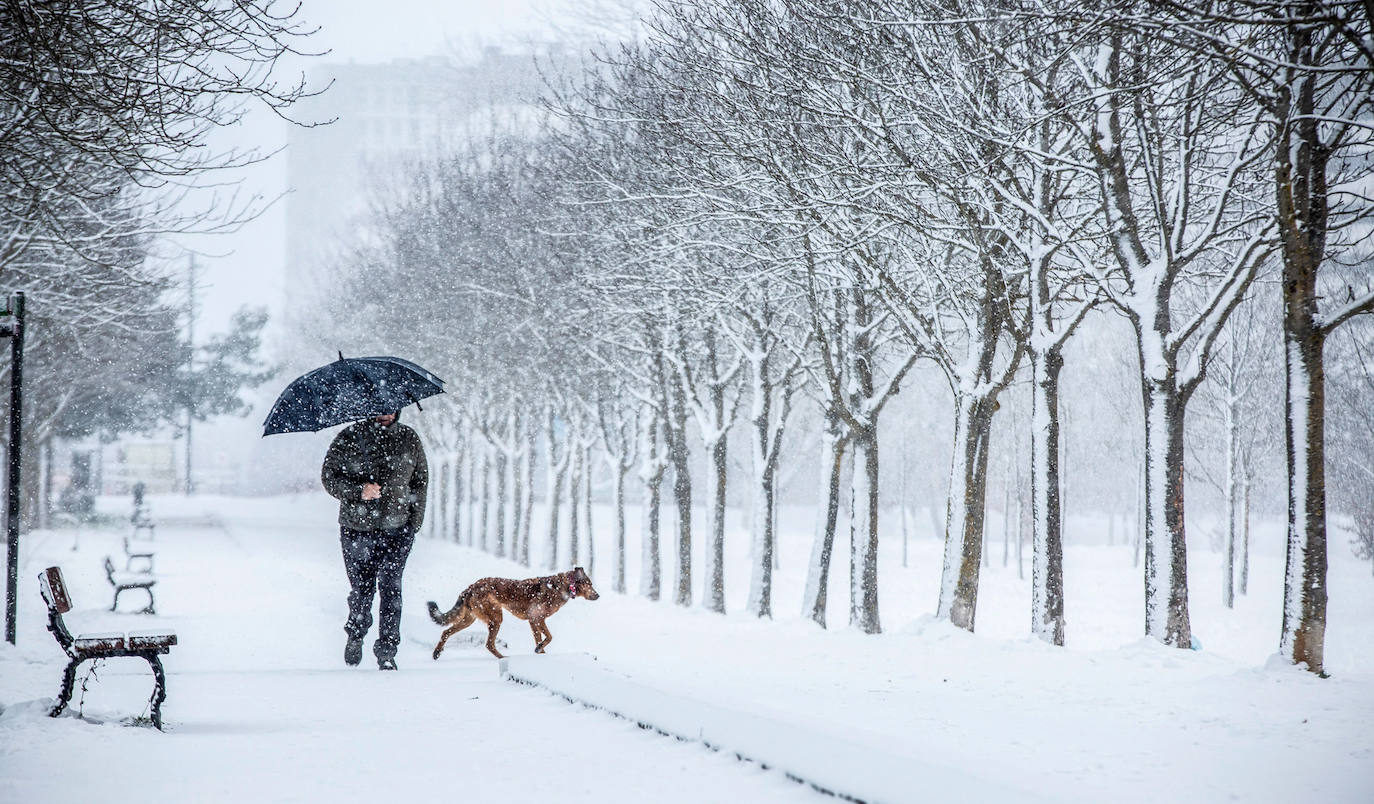 Fotos: La nieve vuelve a cubrir de blanco Álava