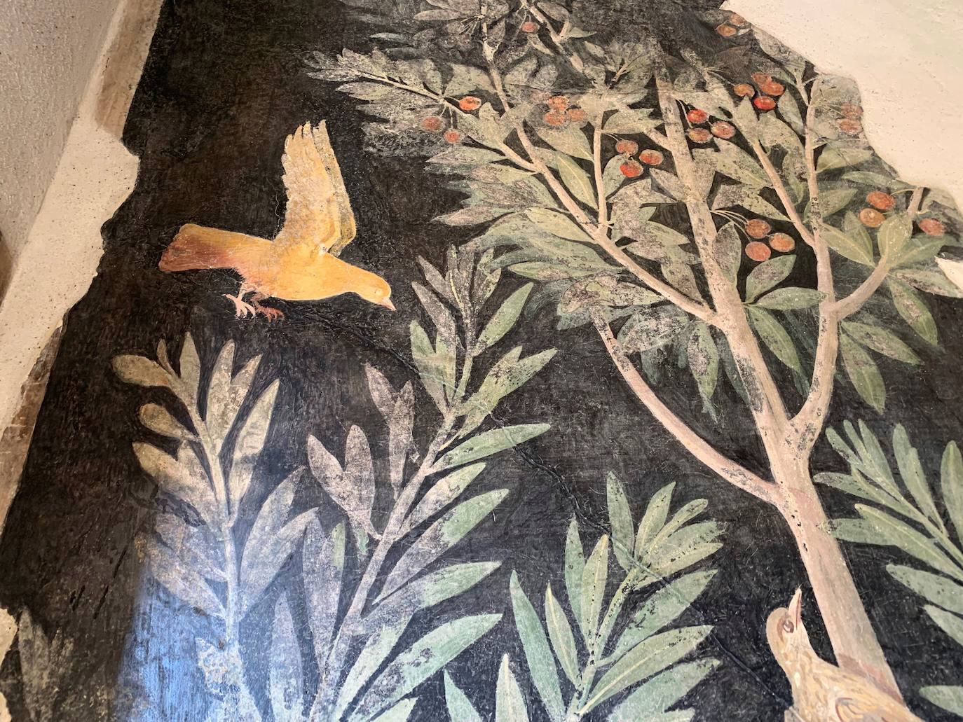 Con esta reapertura, el yacimiento culmina después de cinco años y una inversión de casi 100 millones de euros el ambicioso Gran Proyecto Pompeya. 