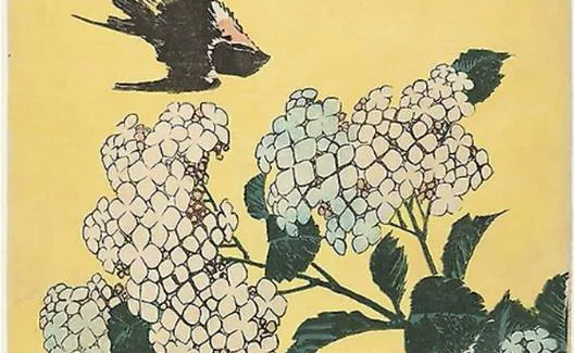 'Hortensia y golondrina'.