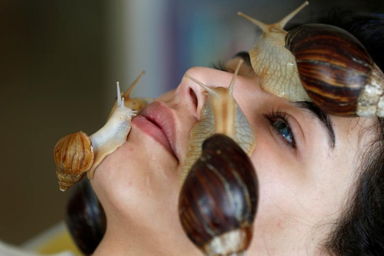 Norma Rashia, de 22 años, se somete a un masaje facial con caracoles terrestres africanos gigantes, que algunos afirman que estimulan el colágeno en la piel, en Amman, Jordania.