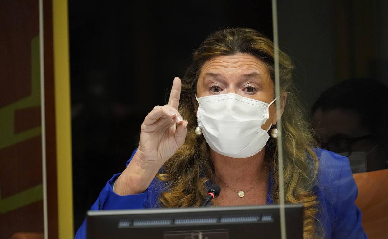 La consejera de Salud, Gotzone Sagardui, durante su comparecencia de esta tarde.